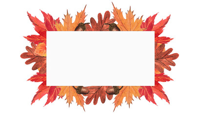 Frames fall pattern with hand-drawing watercolor illustration isolated on white background