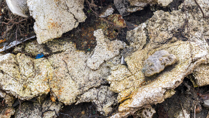 wild garbage dump. residual glass, plastics in the forest