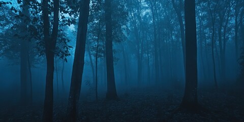 Obraz premium Mysterious Foggy Forest at Night
