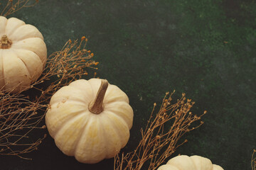 Fall season background with pumpkins and copy space on green texture for thanksgiving holiday.