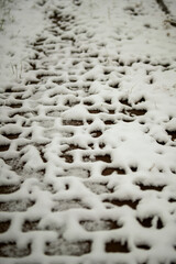 winter scene where the first snow blanketed the ground, revealing rectangular patches of exposed pavement, creating a stark contrast between the white snow and the gray tiles