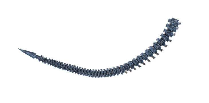 devil tail isolated on white background