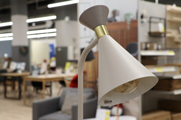 This Stylish and Modern Floor Lamp Enhances Any Contemporary Home Decor Setting Beautifully