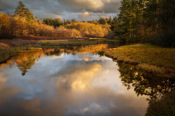 Beautiful wetland area filled. with golden sunset light and clouds reflecting in the water. Seen in the Salish Sea area of western Washington state. An important habitat for fish and migrating birds.