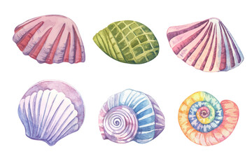 A set of watercolor shells in various colors and shapes. Underwater mollusk clipart bundle ideal for seamless pattern designs, kids' room decorations, or summer event flyers. Aquatic life collection