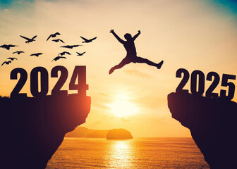 Daring Leap from 2024 to 2025: Sunset and Birds in Flightated