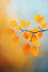 Vibrant autumn leaves on a branch against a blurred orange and blue background