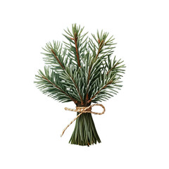Fototapeta premium Natural pine needle bundle with a frosted finish, isolated on a transparent background, perfect for seasonal and holiday designs