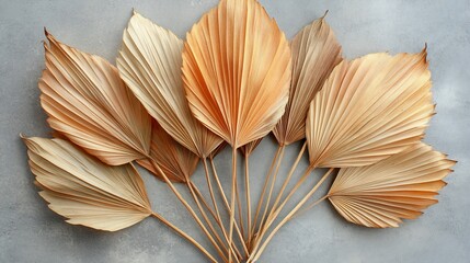 Dried palm leaves arranged in a fan shape on a gray background.