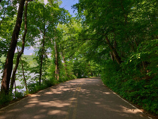 Fototapeta premium Asphalt road across summer forest