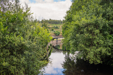 Deciduous green trees over the Pera stream at Mosteiro river beach, Pedrog&atilde;o Grande PORTUGAL