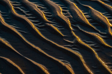 Golden hour on the ripple sand 