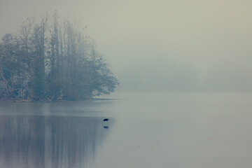 Mglisty poranek  © Marcin