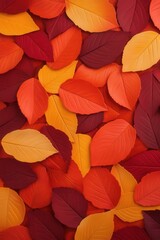 Obraz premium Vibrant autumn leaves in warm fall colors