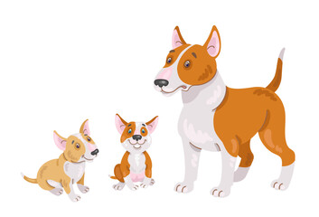 Adult bull terrier dog and two funny puppies. Isolated on white background. Vector flat illustration.