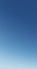 晴れた青空の下での日常生活の一コマを楽しむ風景