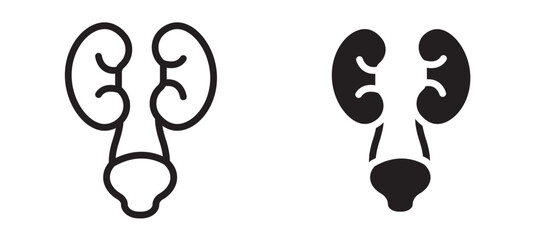 Urology vector icon.