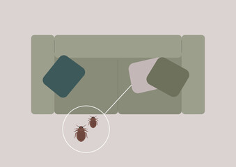 Bed bugs are seen crawling on a sofa's surface, highlighting the need for vigilance in maintaining a clean and pest-free home environment