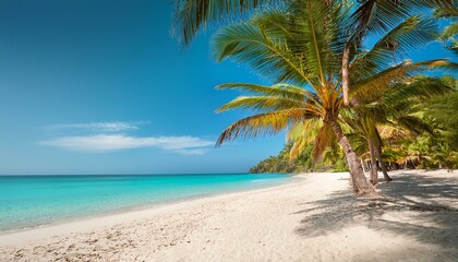 Obraz premium Beautiful tropical beach with palm trees, sunset beach seascape, design template for travel banner.