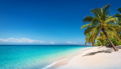 Fototapeta premium Beautiful tropical beach with palm trees, sunset beach seascape, design template for travel banner.