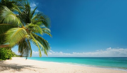 Obraz premium Beautiful tropical beach with palm trees, sunset beach seascape, design template for travel banner.
