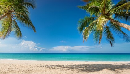 Obraz premium Beautiful tropical beach with palm trees, sunset beach seascape, design template for travel banner.