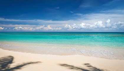 Obraz premium Beautiful tropical beach with palm trees, sunset beach seascape, design template for travel banner.