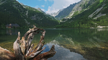 Fototapety na wymiar - Fototapeta24.pl
