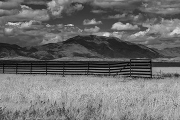 fence in field with mountains black and white
