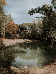 A small beautiful lake on the edge of an autumn forest, presented in a retro style.