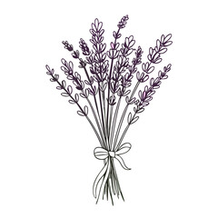 flower, vase, plant, bouquet, nature, flowers, spring, wheat, lavender, bunch, isolated, decoration, floral, purple, flora, summer, leaf, beauty, blossom, herb, hyacinth, fresh, cereal, glass, dried