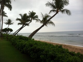 Panoramic view of a vibrant, tropical beach scene with turquoise waters, a concrete pier, and people enjoying various water activities.