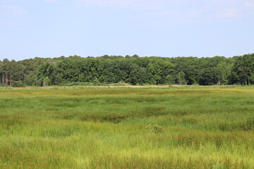 Obraz premium fields