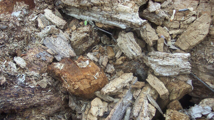 Chunks of wood chips