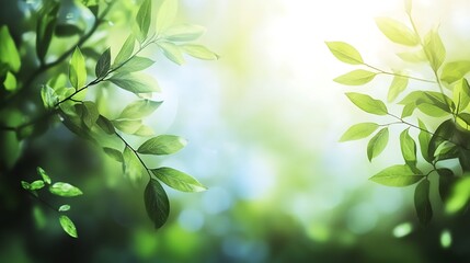 Obraz premium Abstract blurred nature background representing World Environment Day.