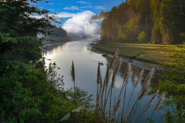 Big River on a foggy morning just upstream (east) of Mendocino, CA.