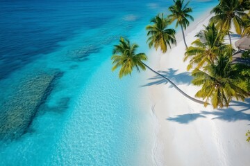 Palm trees leaning over a tropical white sand beach and turquoise water