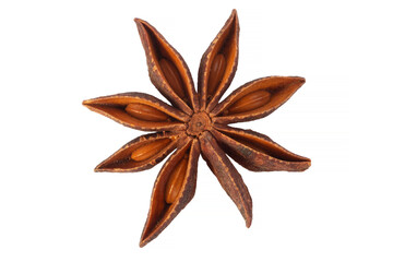 star anise seed isolated on white