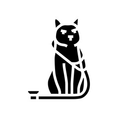 stethoscope cat breeding glyph icon vector. stethoscope cat breeding sign. isolated symbol illustration