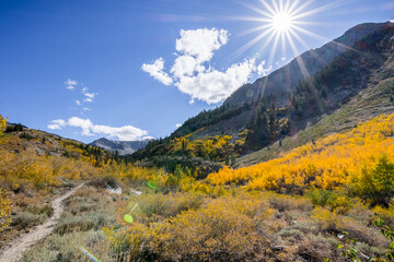 Fall colors covering McGee Creek valley in Eastern Sierra mountains, California