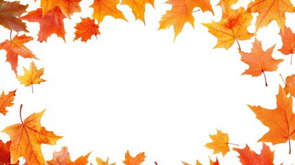 Fototapeta premium Frame made of falling autumn maple leaves isolated on a white background featuring fall foliage