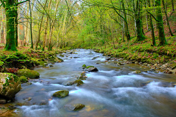 Bayones River flowing through forest in Cabuerniga Valley, Cantabria, Spain.