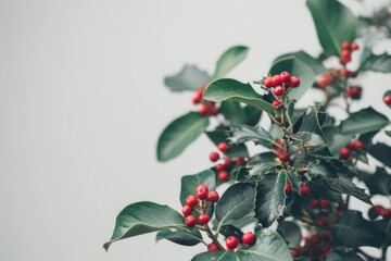 A close-up shot of a plant with bright red berries, ideal for use in designs related to nature and the outdoors