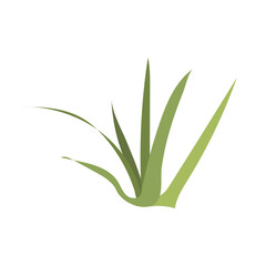 Desert grass shrub in flat design. Wilderness green herb bush with leaves. Vector illustration isolated.