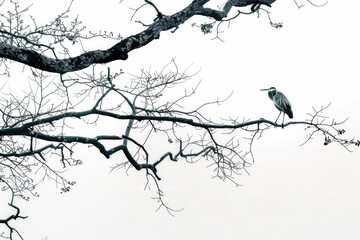 A bird perched on a branch of a tree