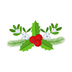 Christmas floral border. Spruce evergreen branch, poinsettia and holly berry
