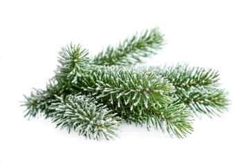 A branch of a pine tree covered in thick snow, perfect for winter scenes and cold weather photography