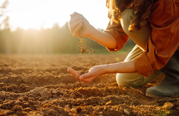 Women's hands sort through black soil in the field. Young woman farmer examining soil with hands...