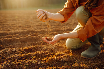 Women's hands sort through black soil in the field. Young woman farmer examining soil with hands...