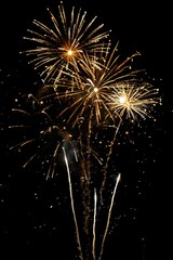 Obraz premium A display of colorful fireworks exploding in the dark night sky